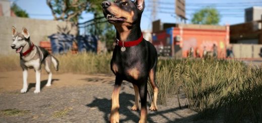 Doberman - zwierzę z GTA 6