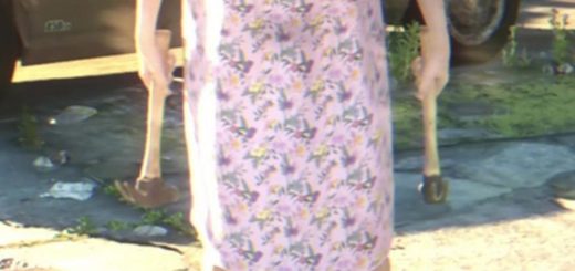 Hammer – GTA 6 Weapon